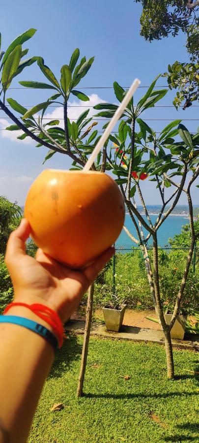 גאלה Jungle Beach Restaurant And Hotel-Jbr מראה חיצוני תמונה