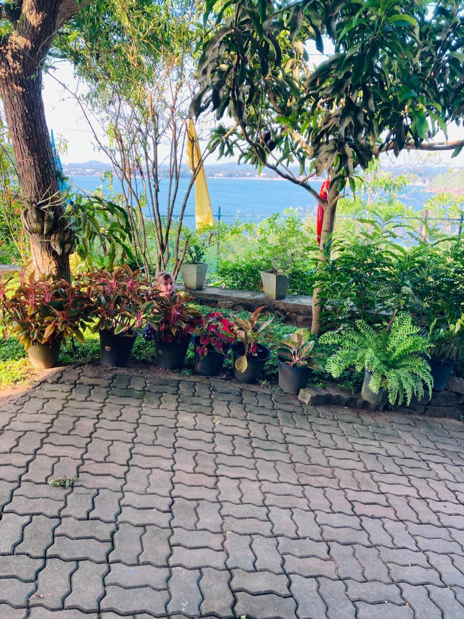 גאלה Jungle Beach Restaurant And Hotel-Jbr מראה חיצוני תמונה
